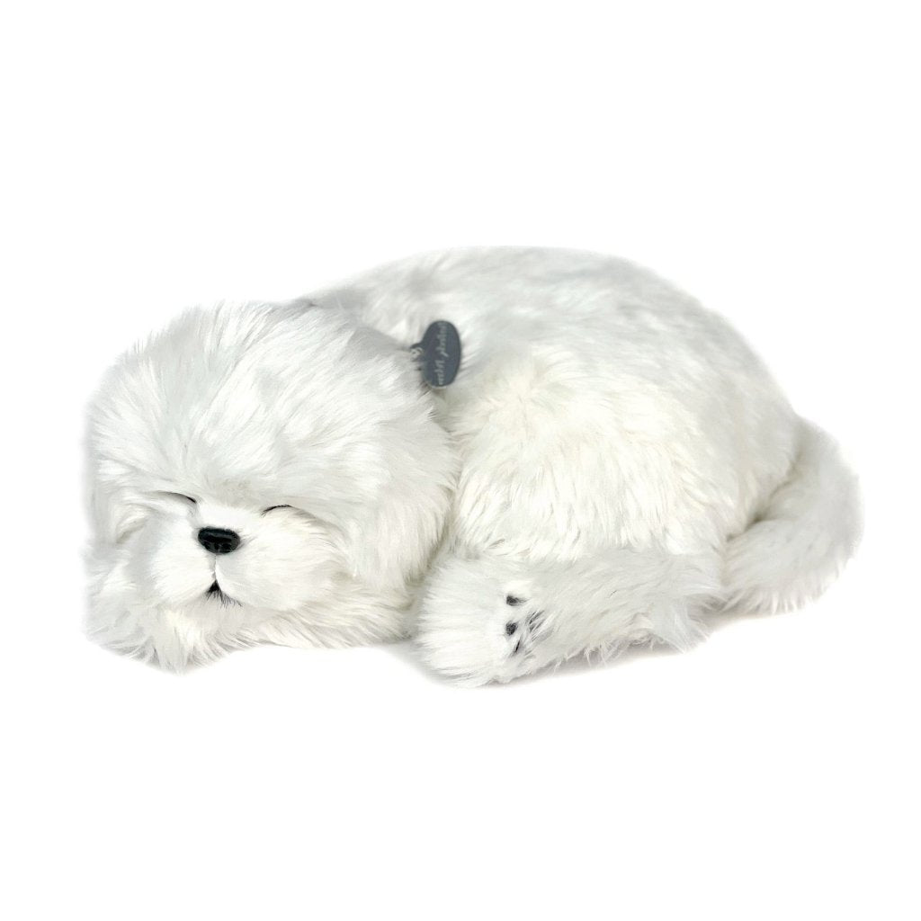 Perfect Pet Maltese
