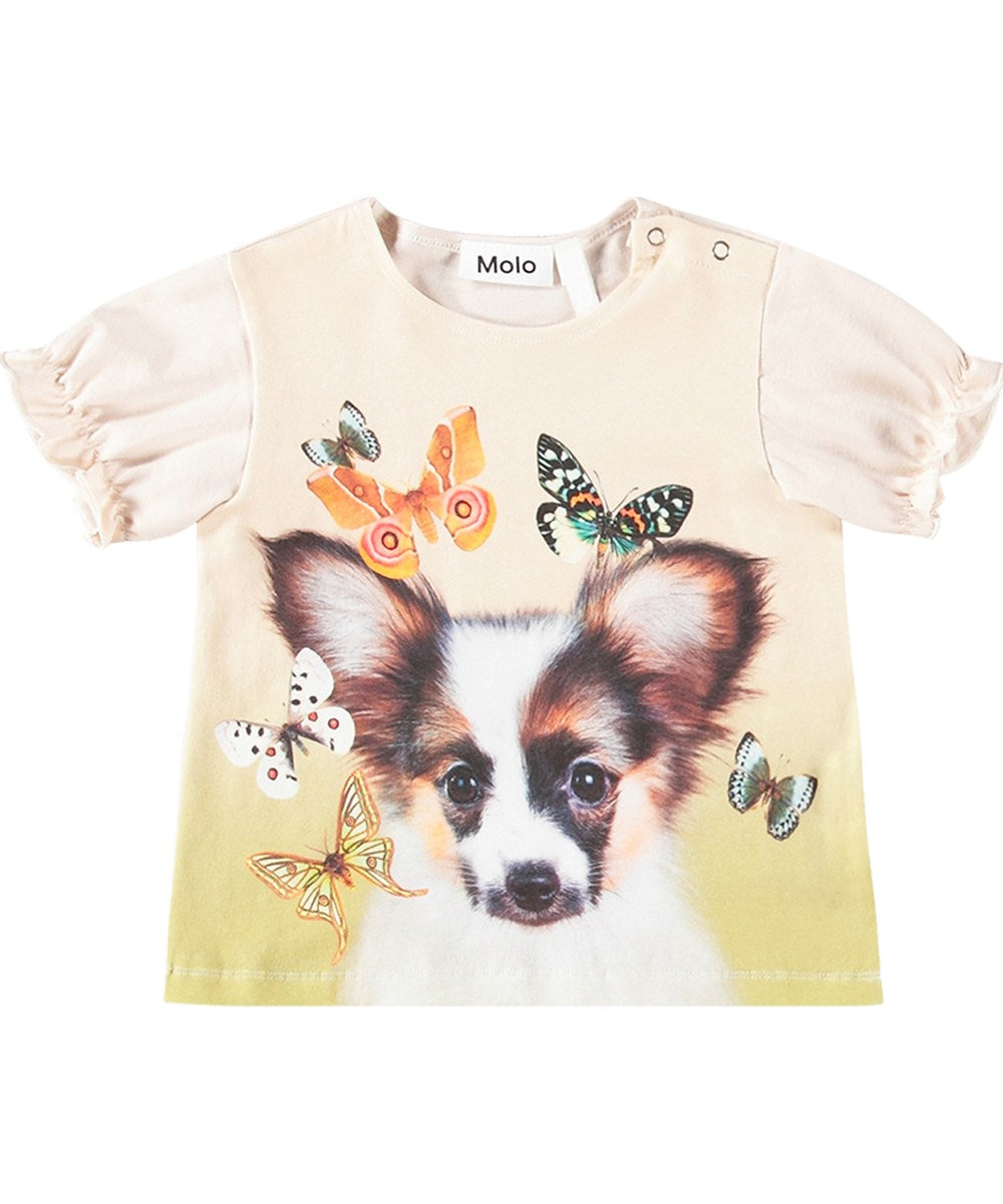 Eline Papillion Puppy