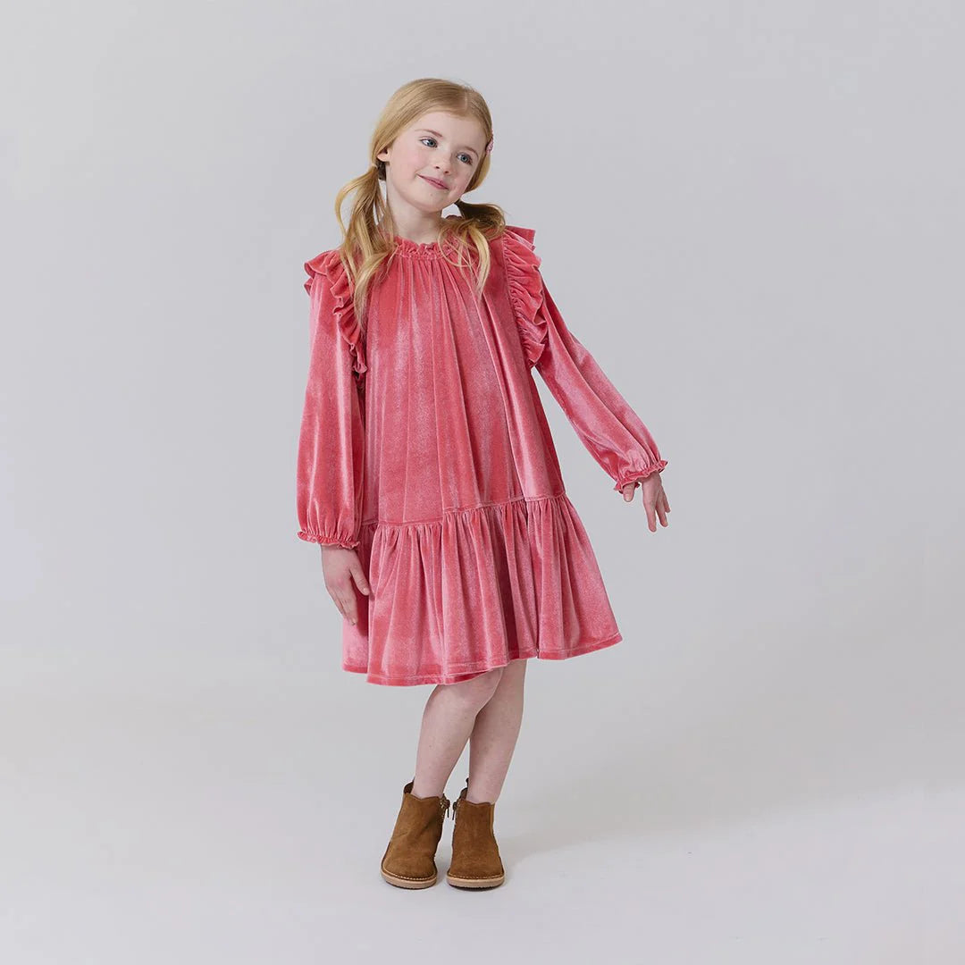 Desert Rose Velour Harper Dress