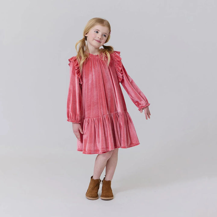 Desert Rose Velour Harper Dress