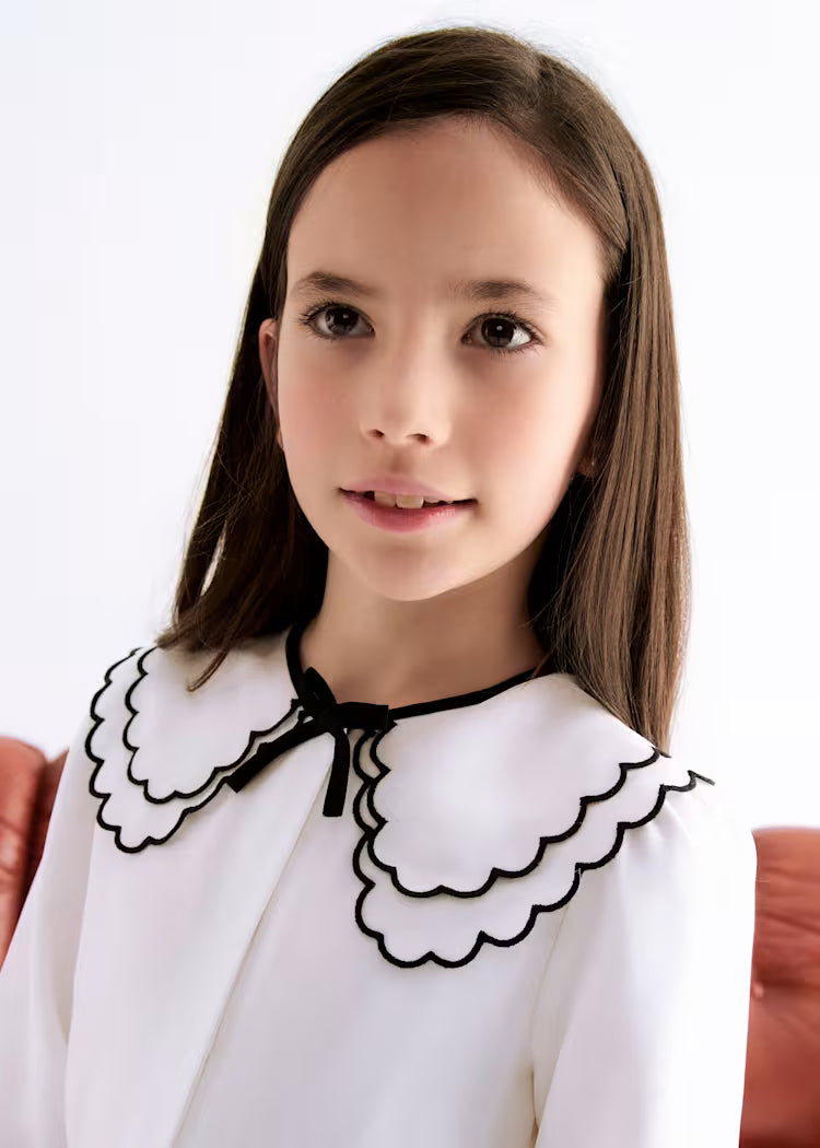 Chiffon Blouse with Embroidered Collar