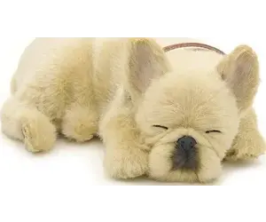 French Bulldog Perfect Petzzz – Sprout Boutique