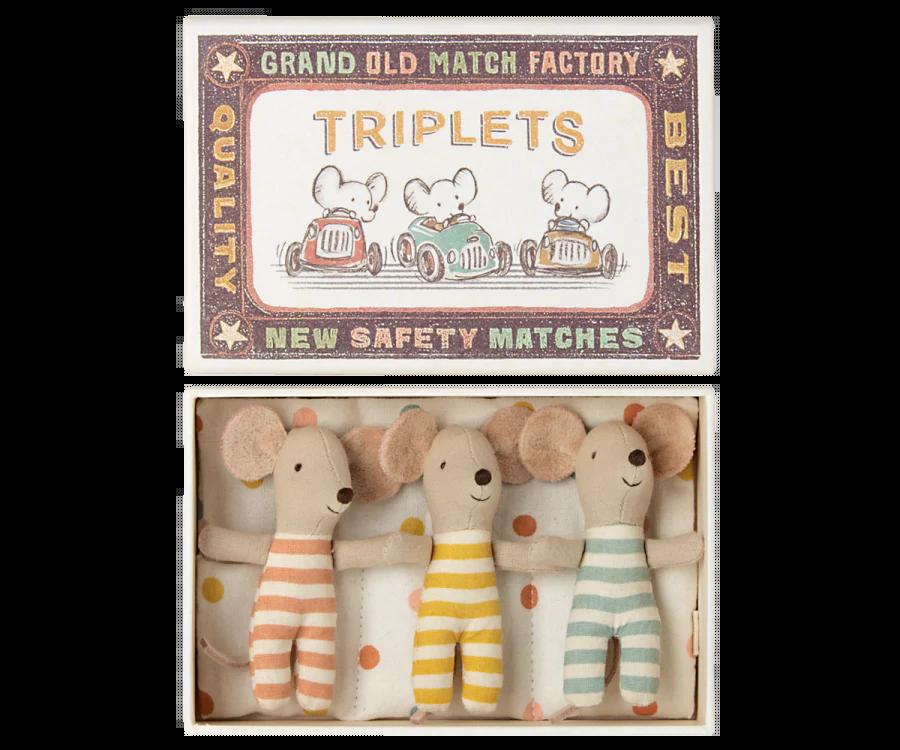 Triplets, Baby Mice in Matchbox