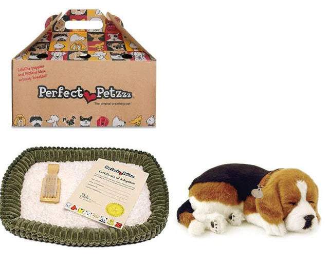 perfect petz – Sprout Boutique