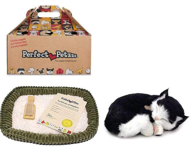 Black White Short Hair Kitten – Sprout Boutique