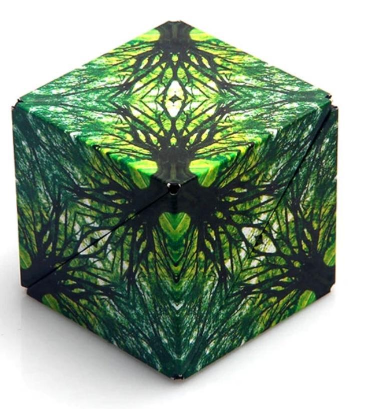 Shashibo Magnetic Puzzle