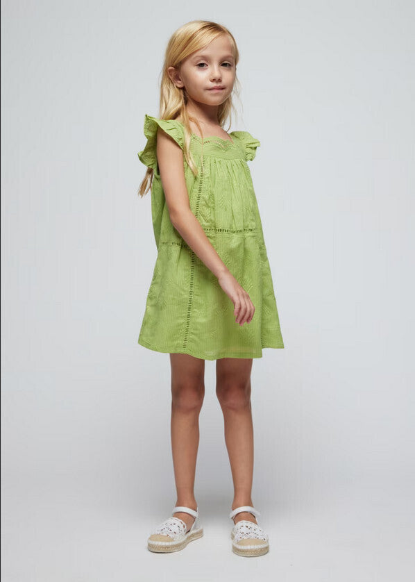 Embroidered Dress in Apple Green