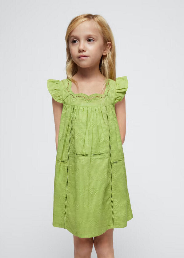 Embroidered Dress in Apple Green