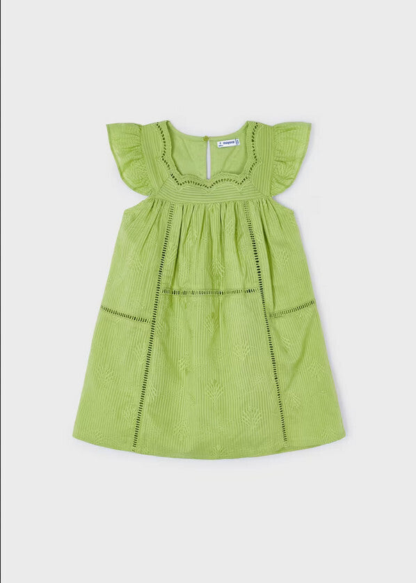 Embroidered Dress in Apple Green