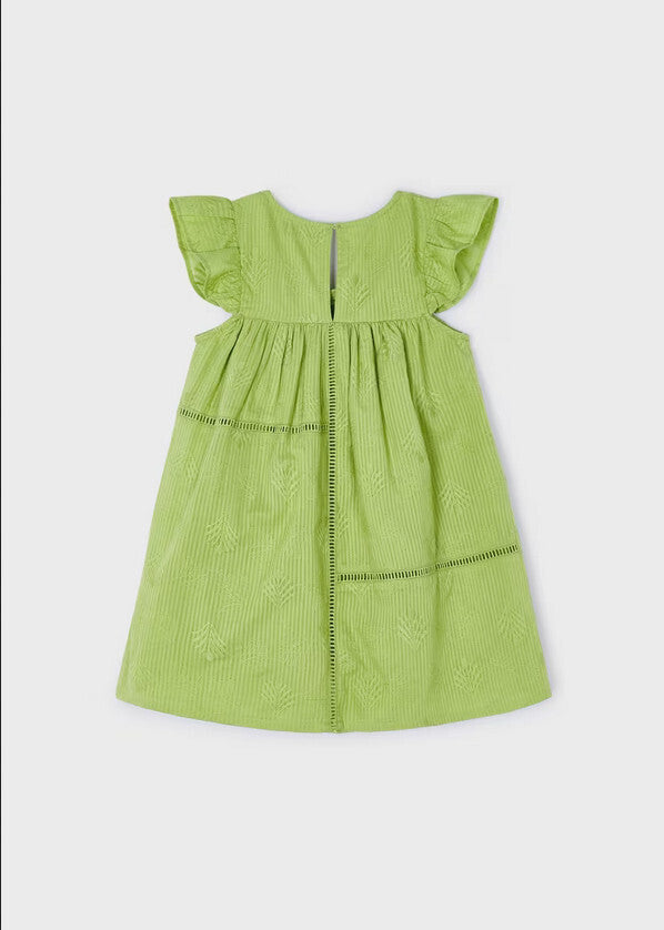 Embroidered Dress in Apple Green