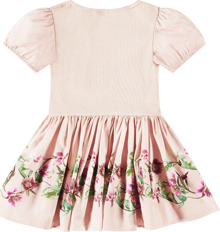 Caitlin Mini Hellebore Dress