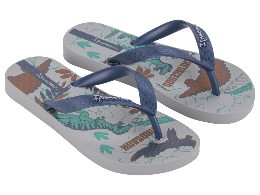 Impanema Temas XV Flip Flops