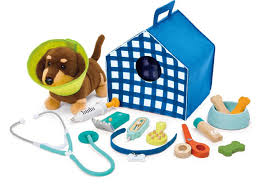 Puppy Care Vet Clinic Set