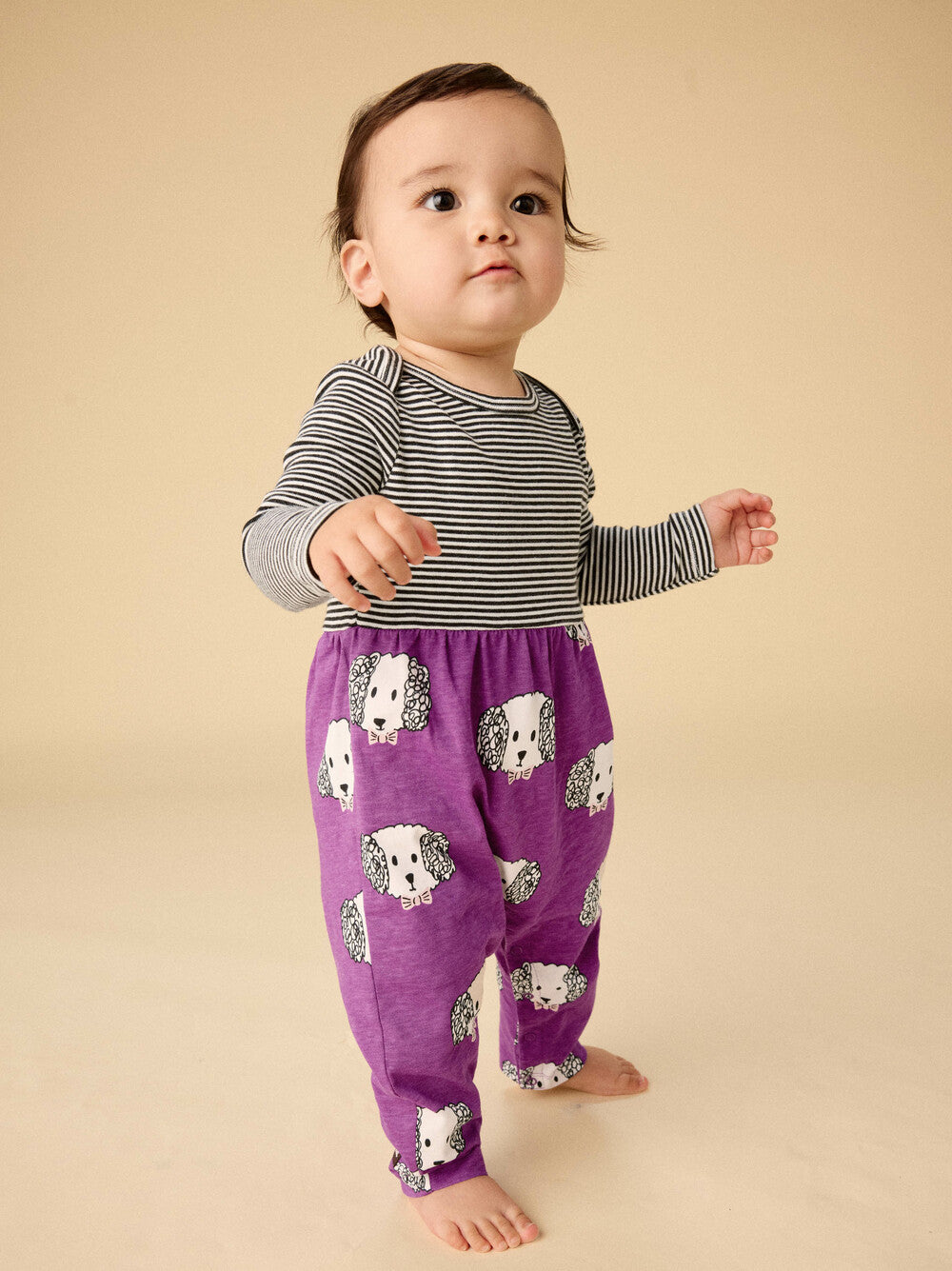 Maltipoo Baby Romper