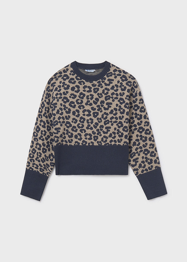 Leopard Sweater