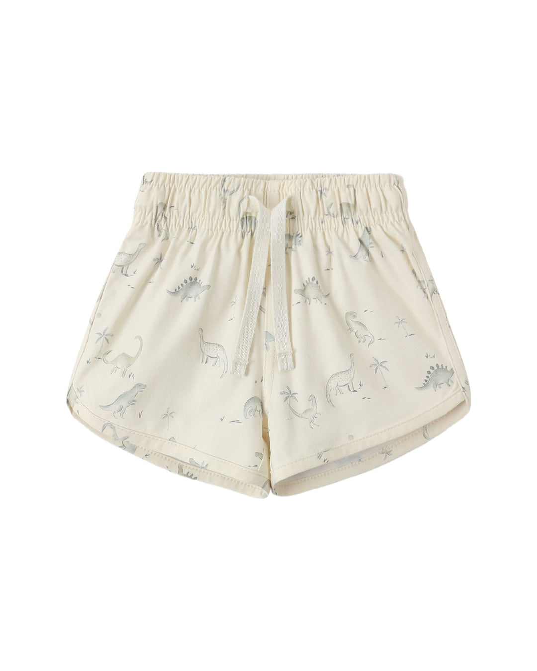 Boys Swim Short Dinosaur