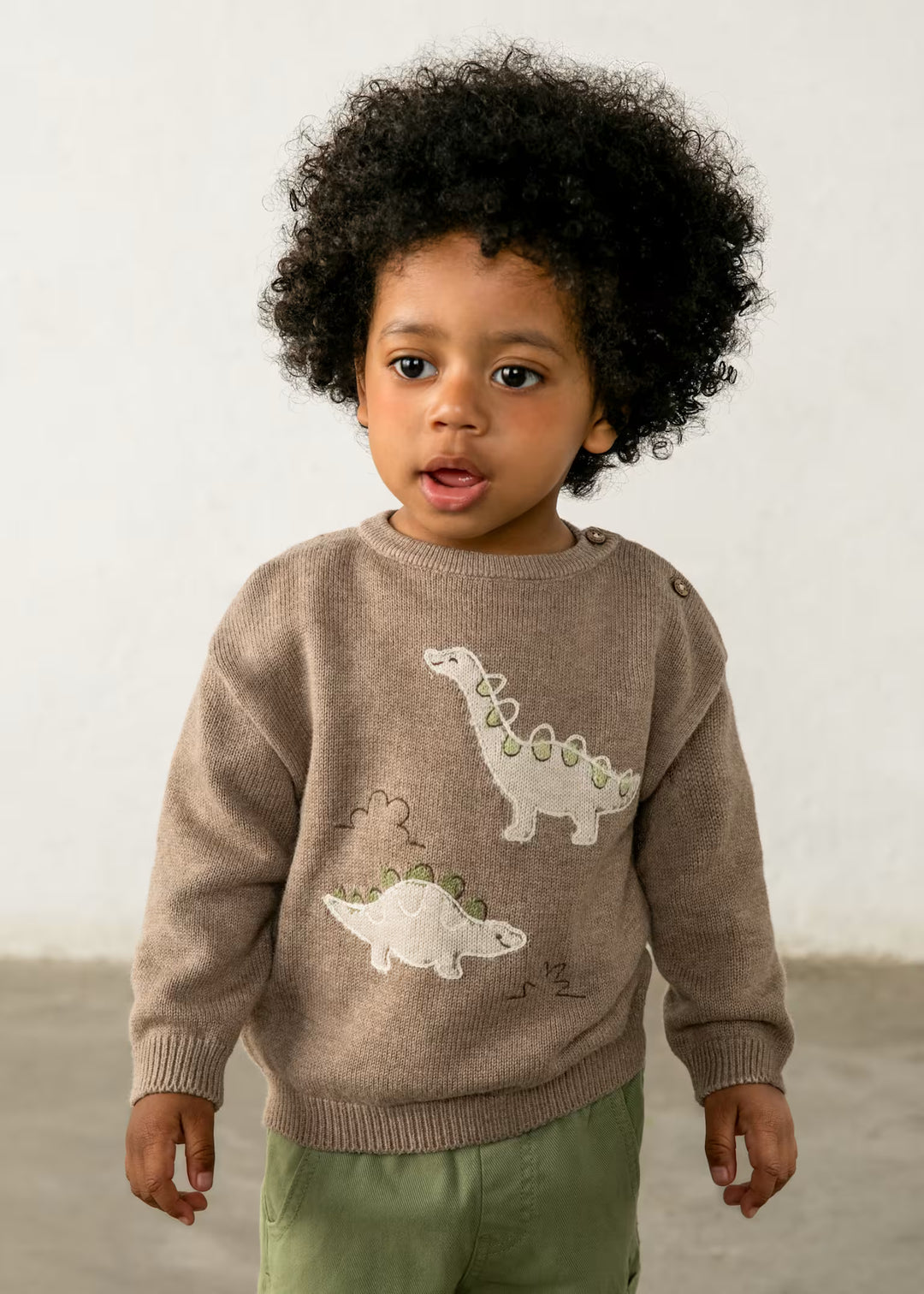 Dino sweater