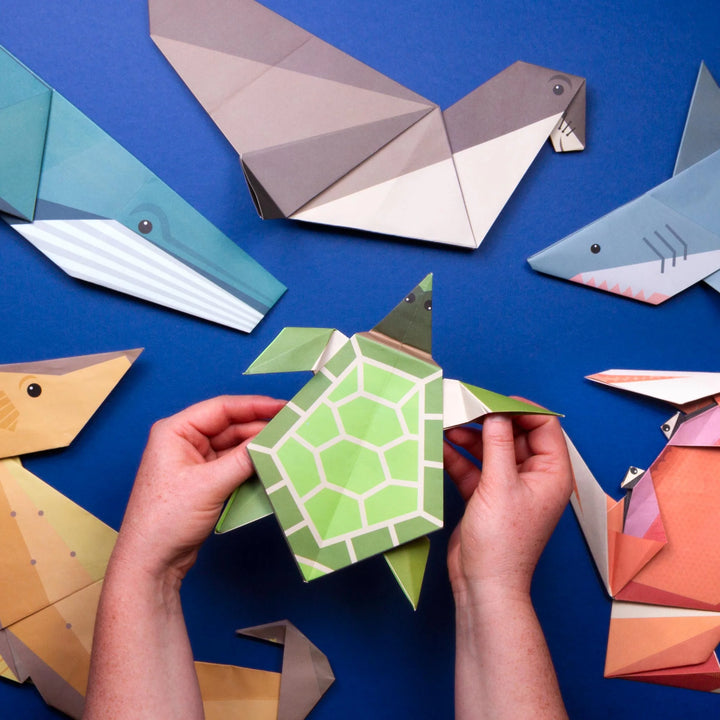 Create Your Own Snappy Shark