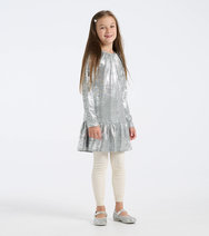 Silver Shimmer A-line Dress