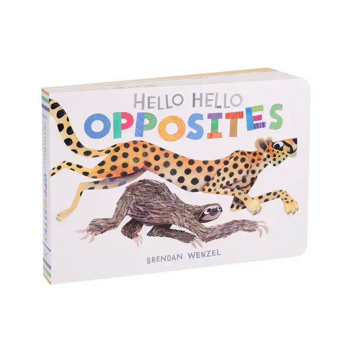 Hello Hello Opposites
