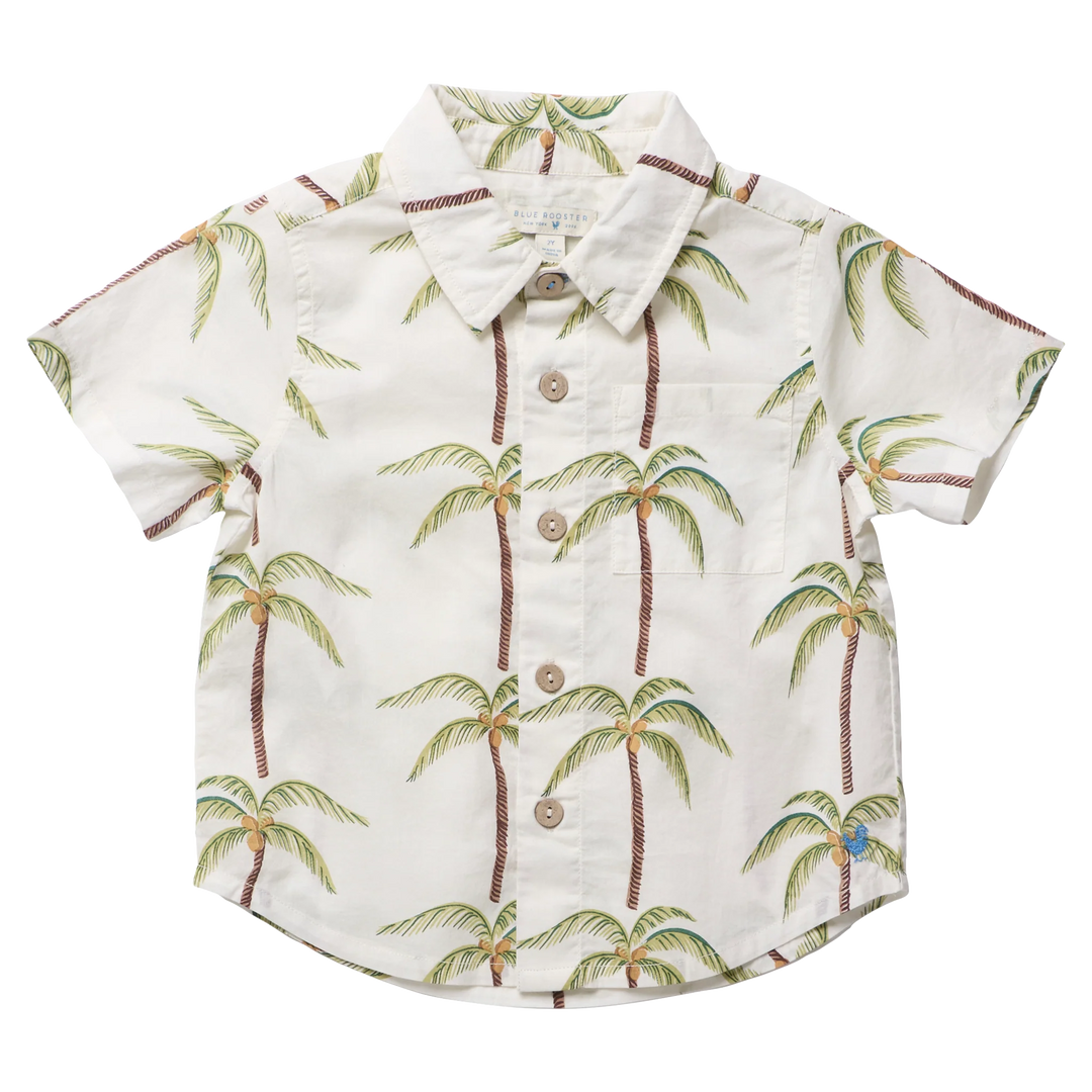 Baby Boys Jack Shirt Cream Palm Trees
