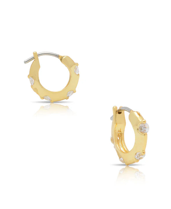 Hoop Earrings with CZ