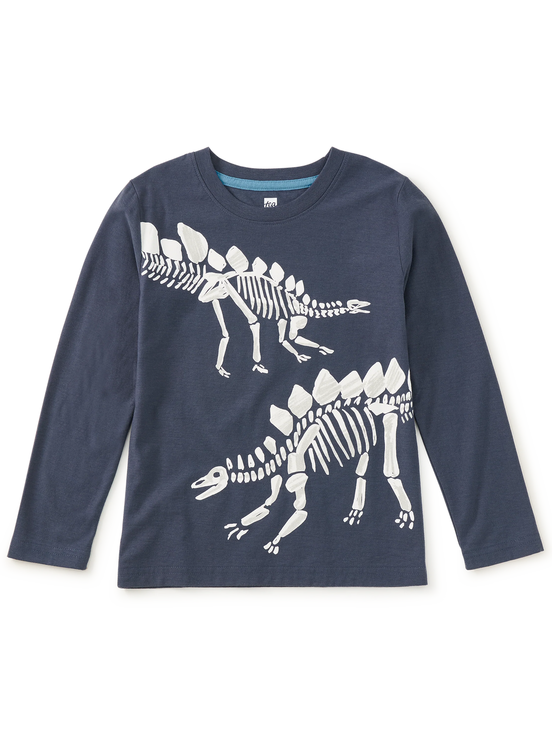 Fossil Stegosaurus Graphic Tee