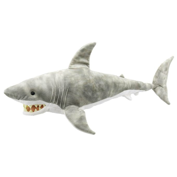 Shark Large Creatures