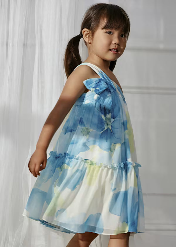 Floral Printed Chiffon Dress