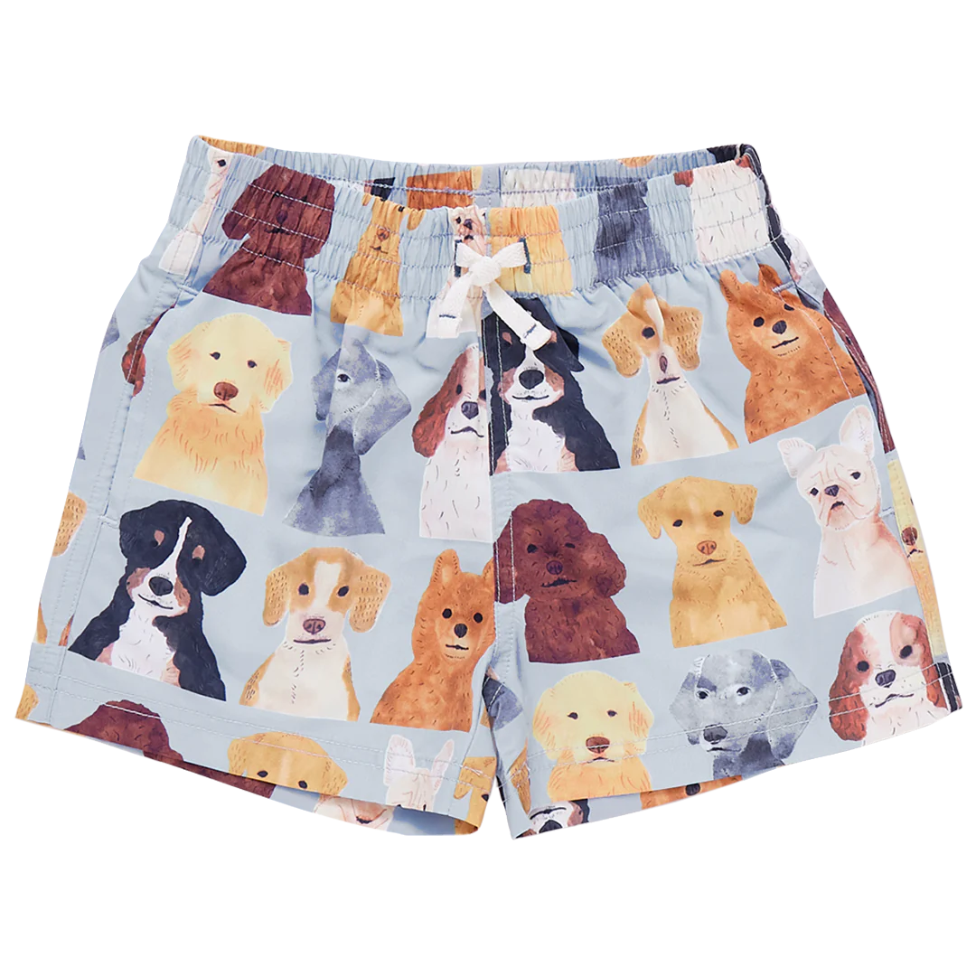 Boys Swim Trunk - Light Blue Watercolor Dogs