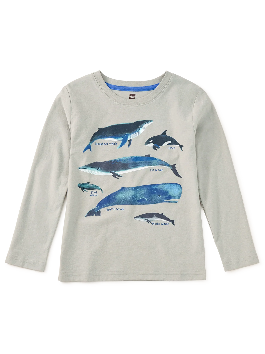 Whale Discovery Graphic Tee