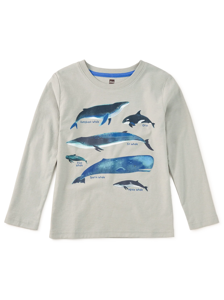Whale Discovery Graphic Tee