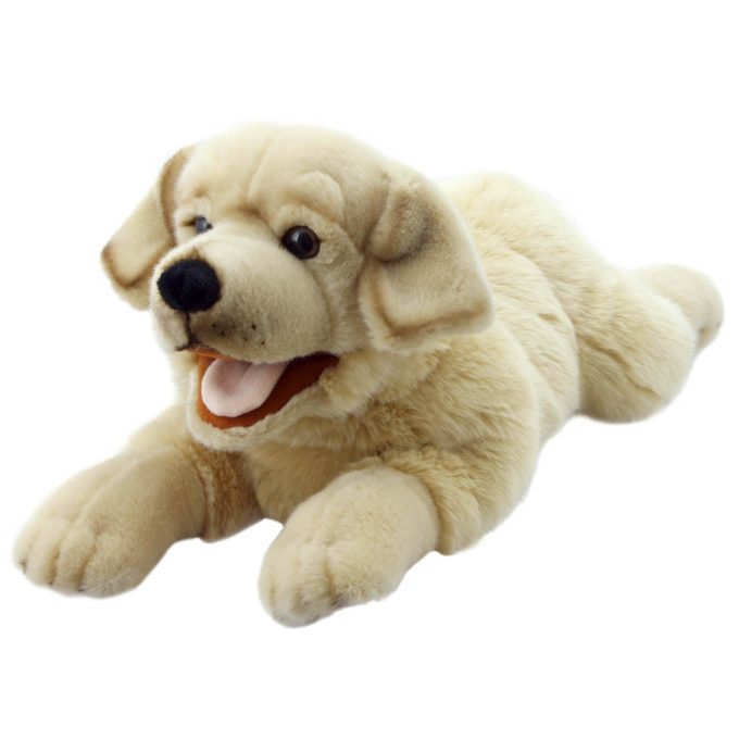 Playful Puppies Lab