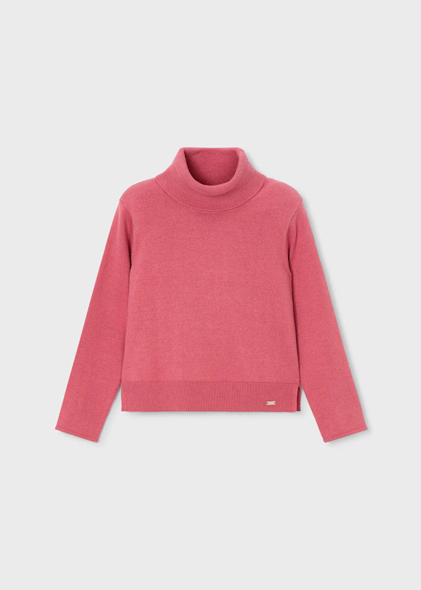 Turtleneck Sweater
