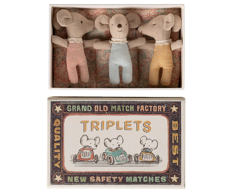 Triplets, Baby mice in matchbox