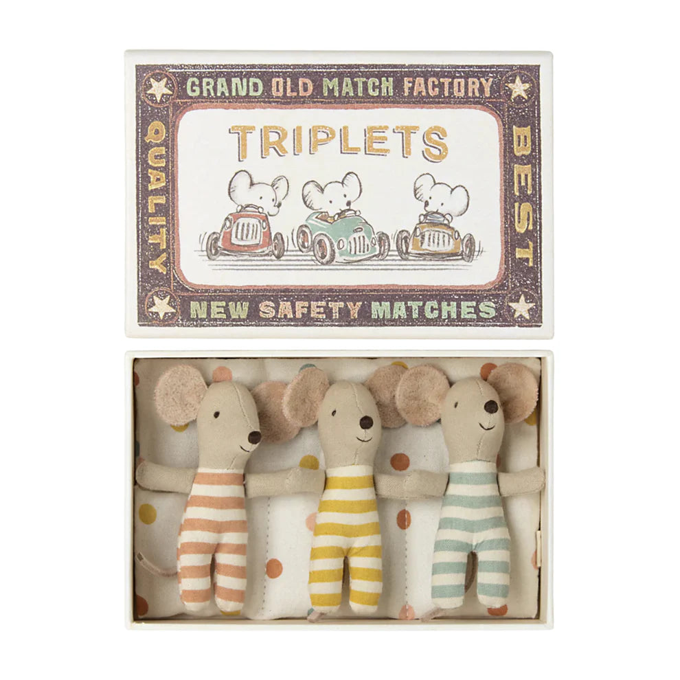 Triplets, Baby Mice in Matchbox Checker