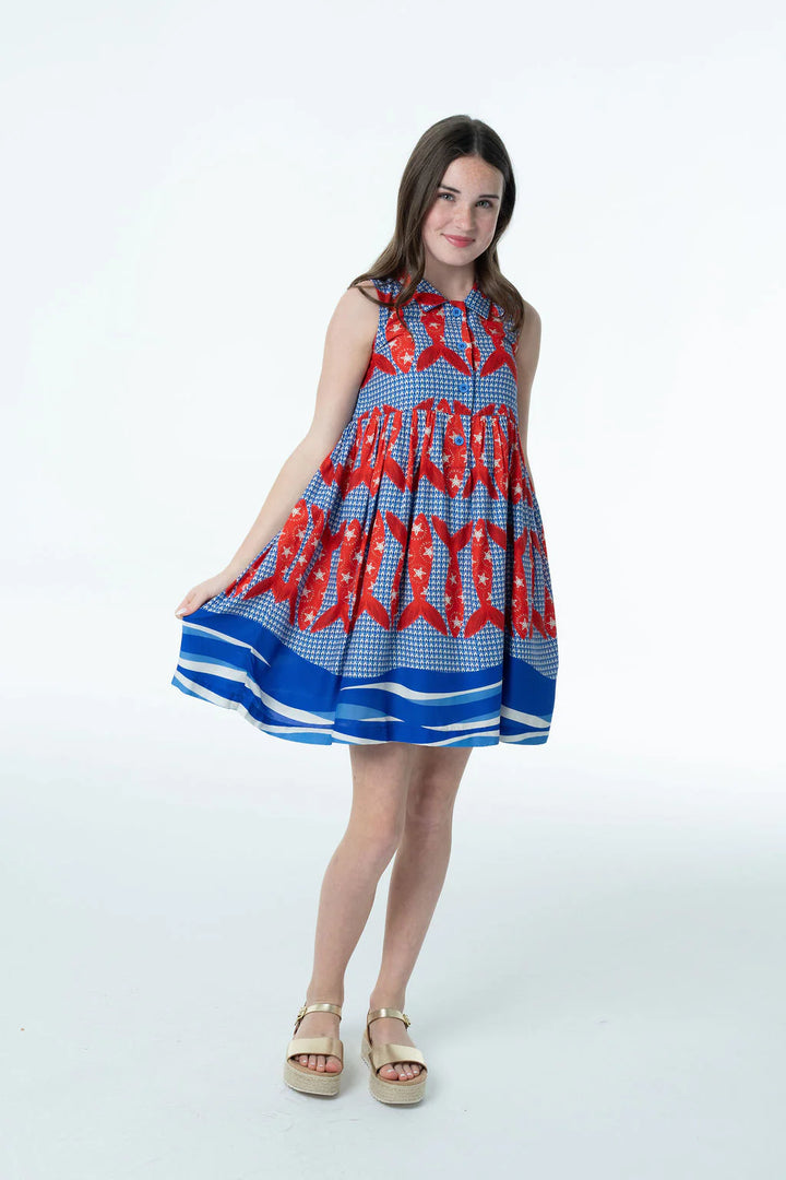 Rachel Harbor Catch Dress