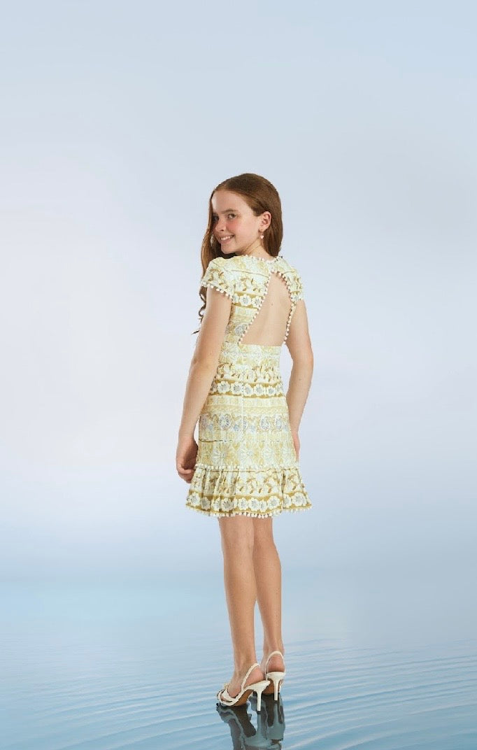 Lara Embroidery Mini Dress