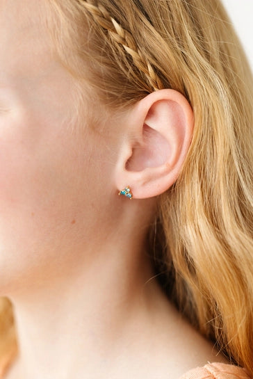 Ombre Gem Earrings