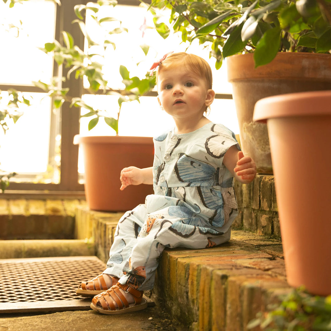 Alexandra Jumper Vintage Blue Butterflies