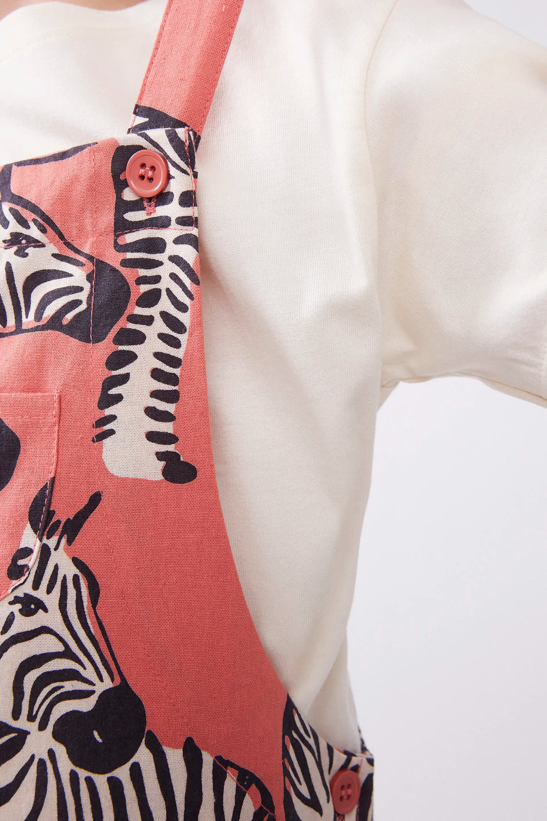 Zebra Jumper