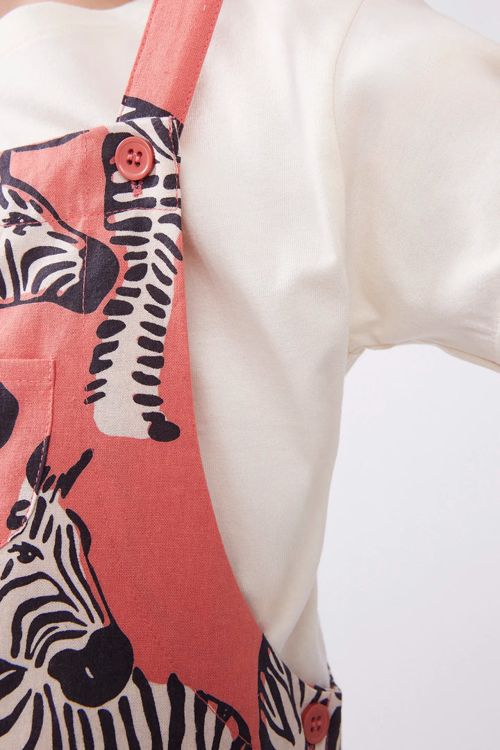 Zebra Jumper