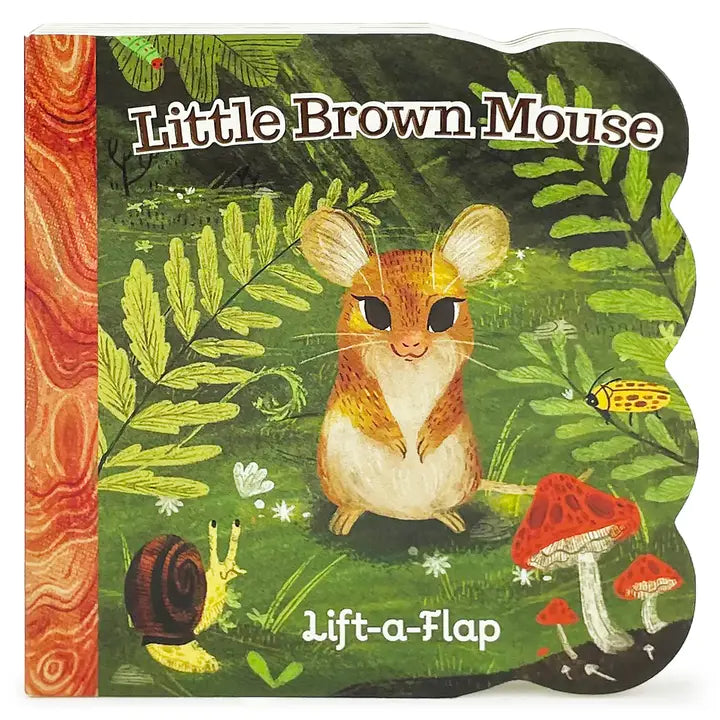 Little Brown Mouse Lift A Flap