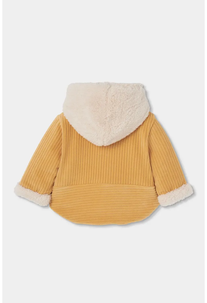 Cozy Knit Jacket