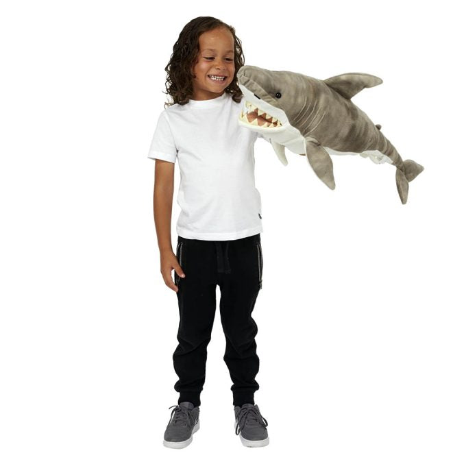 Shark Large Creatures