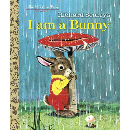 I am a Bunny Book