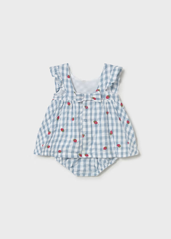 Strawberry Gingham Baby Dress with bloomers