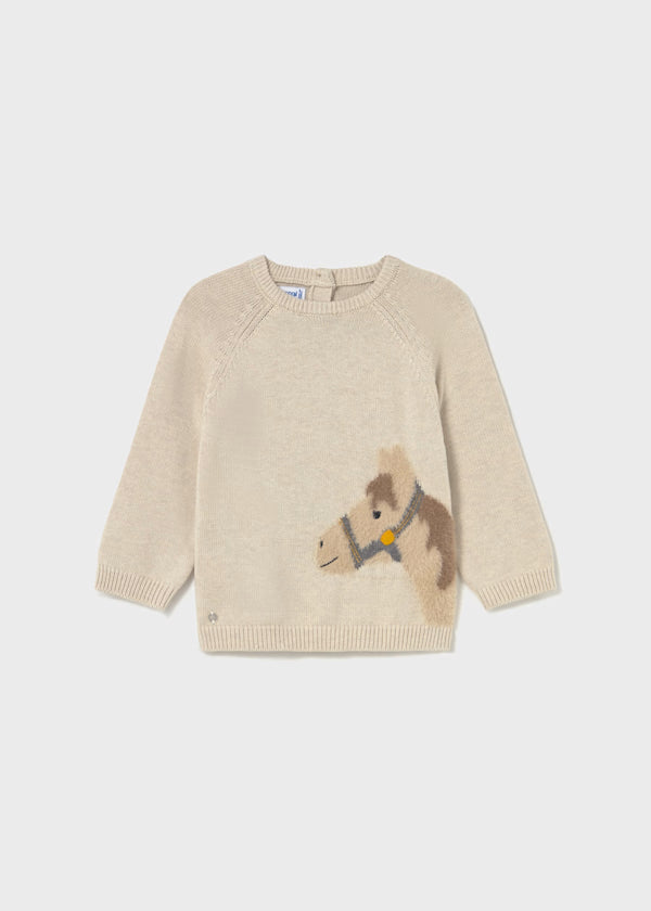 Horse Sweater
