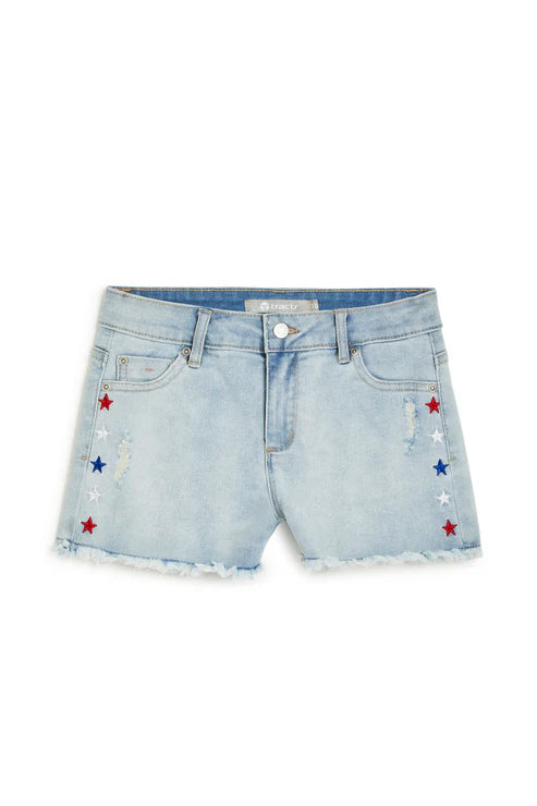 USA Star Embroidered Shorts