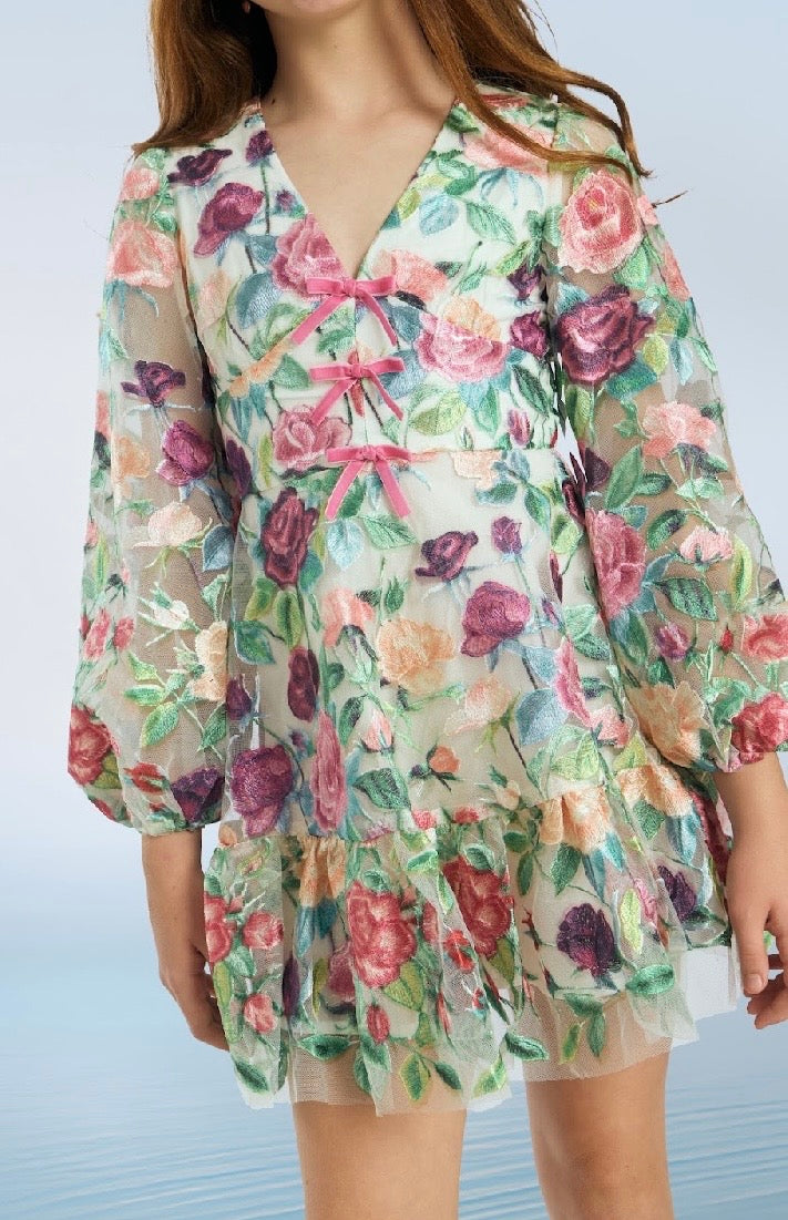 Rachelle Embroidered Mini Dress